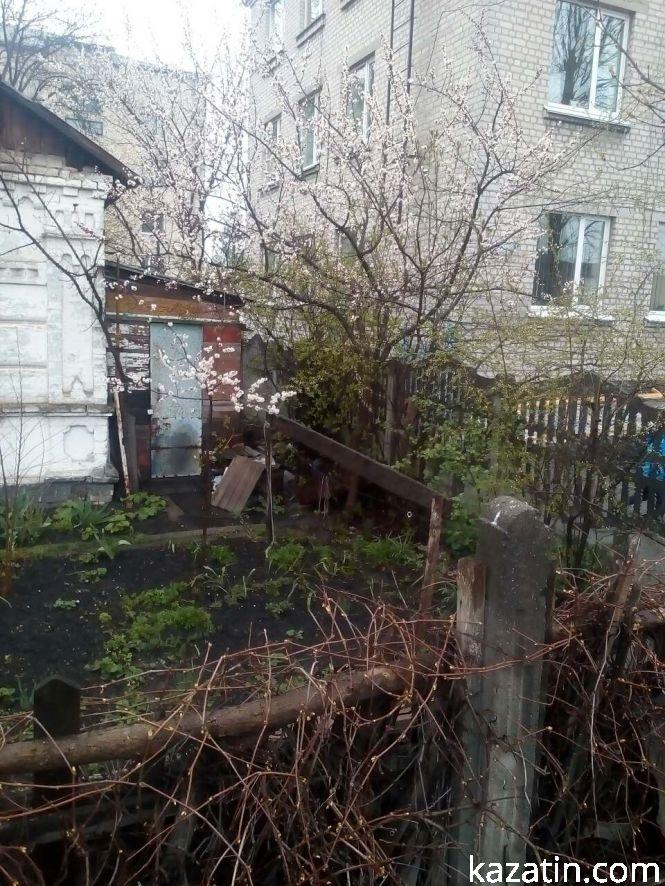 Такий Козятин сьогодні: цвітуть абрикоси, фото №9 на сайті 20minut.ua