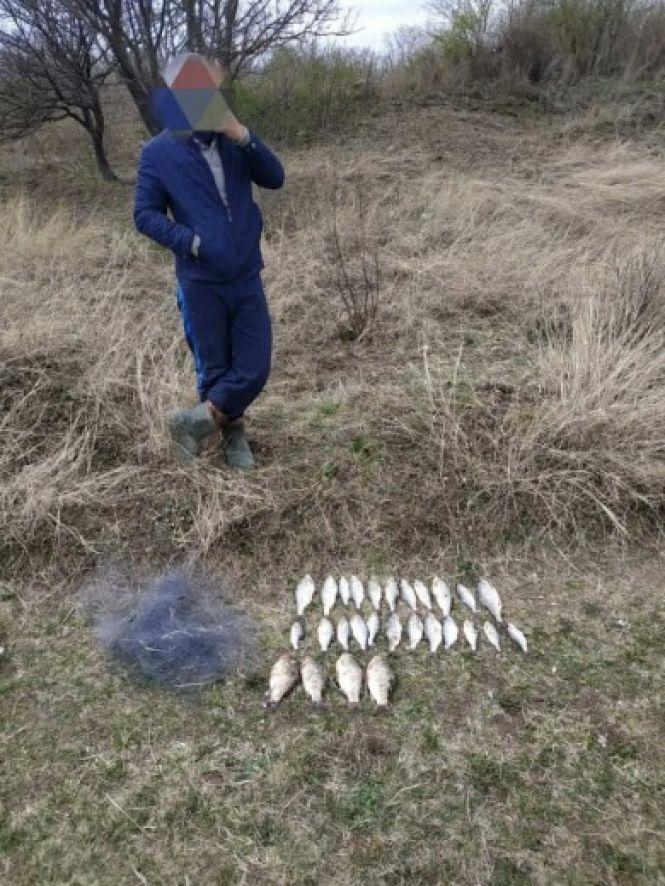Новини Хмельницького - фото з Риби на 17 тисяч гривень виловили браконьєри на Хмельниччині Риби на 17 тисяч гривень виловили браконьєри на Хмельниччині, фото №3 на сайті vsim.ua