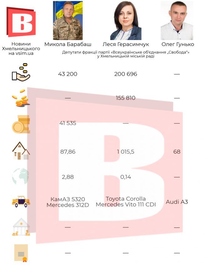 Що в декларації хмельницького депутата: чим багаті обранці від партії «Свобода» (ІНФОГРАФІКА), фото №1 на сайті vsim.ua