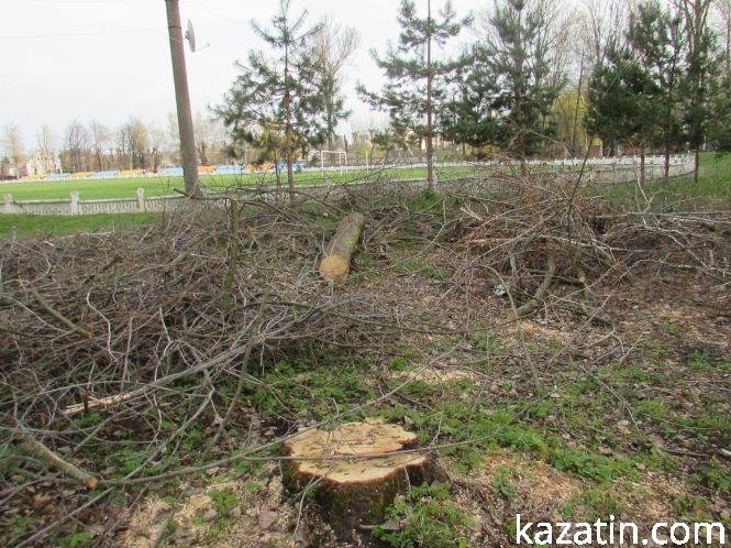 Фото дня: на території міського стадіону поспилювали дерева, фото №2 на сайті 20minut.ua