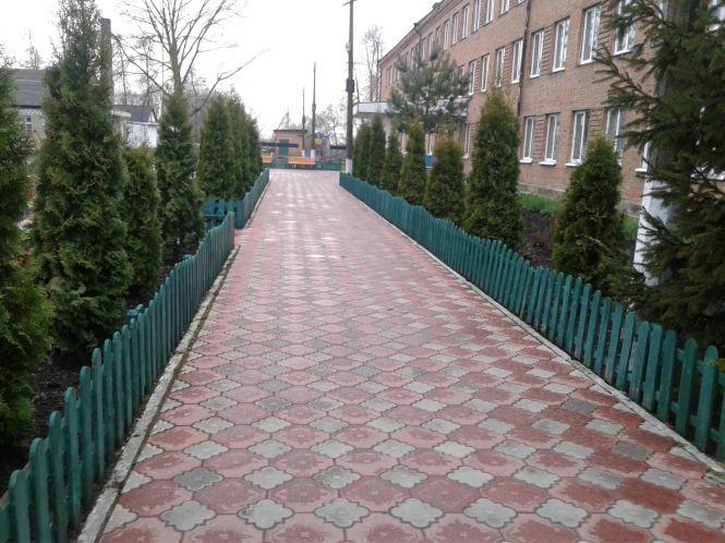 Мальовничо: школа-інтернат-гімназія оновила територію, фото №4 на сайті 20minut.ua