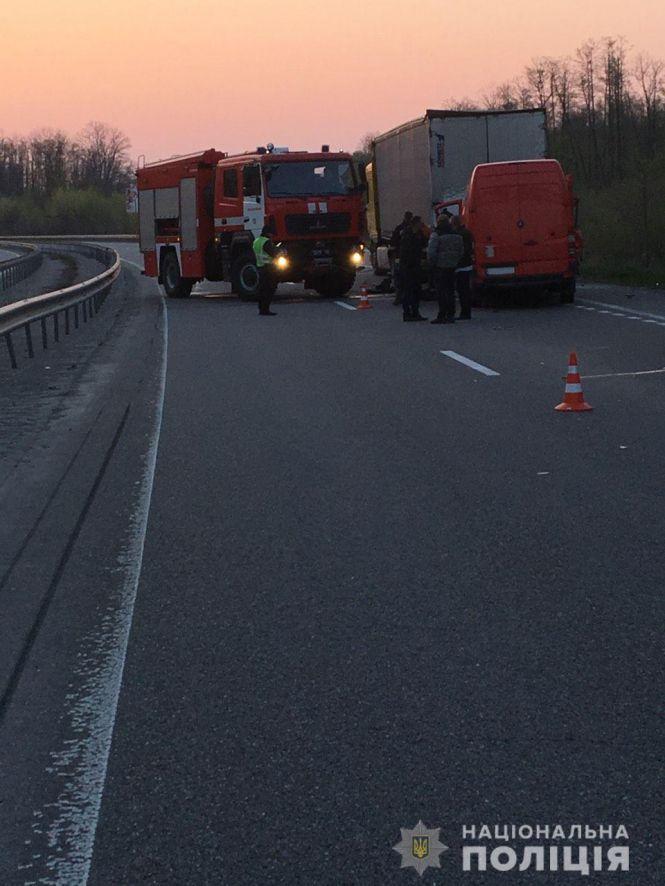 Новини Житомира - фото з Через раптову появу лося на дорозі у Новоград-Волинському районі сталося ДТП з смертельними наслідками Через раптову появу лося на дорозі у Новоград-Волинському районі сталося ДТП з смертельними наслідками, фото №2 на сайті 20minut.ua