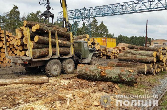 Новини Хмельницького - фото з "Схема на мільйон". На Хмельниччині посадовці незаконно розкрадали ліс "Схема на мільйон". На Хмельниччині посадовці незаконно розкрадали ліс, фото №1 на сайті vsim.ua