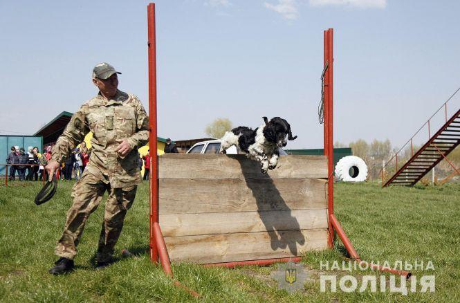 Новини Хмельницького - фото з Професійний майстер-клас та польова кухня: хмельницькі школярі завітали у гості до кінологів Професійний майстер-клас та польова кухня: хмельницькі школярі завітали у гості до кінологів, фото №3 на сайті vsim.ua