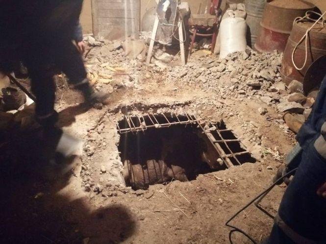 Новини Вінниці - фото з Корова впала до погреба: тварину діставали понад 3 години Корова впала до погреба: тварину діставали понад 3 години, фото №1 на сайті 20minut.ua