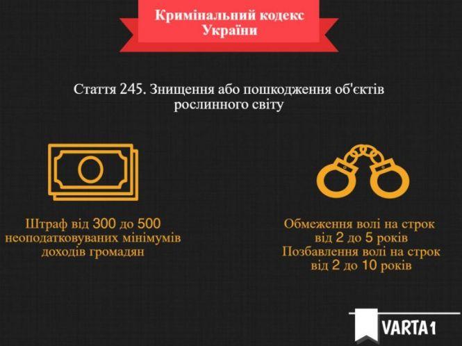 Новини Тернополя - фото з За добу тричі викликали пожежників: горіли поля і очерети поблизу Тернополя За добу тричі викликали пожежників: горіли поля і очерети поблизу Тернополя, фото №4 на сайті 20minut.ua