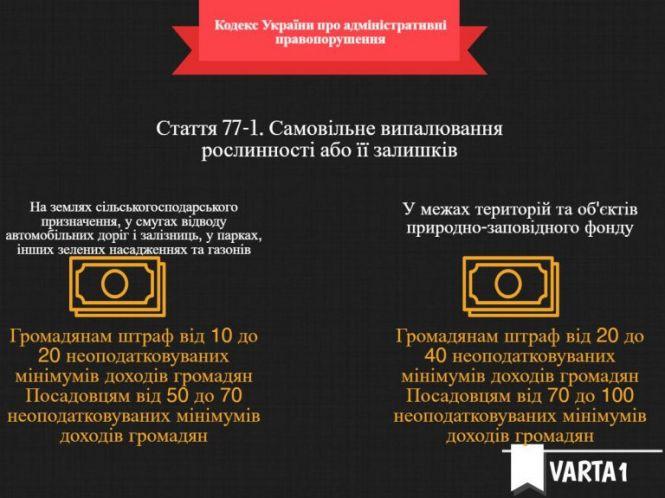 Новини Тернополя - фото з За добу тричі викликали пожежників: горіли поля і очерети поблизу Тернополя За добу тричі викликали пожежників: горіли поля і очерети поблизу Тернополя, фото №5 на сайті 20minut.ua