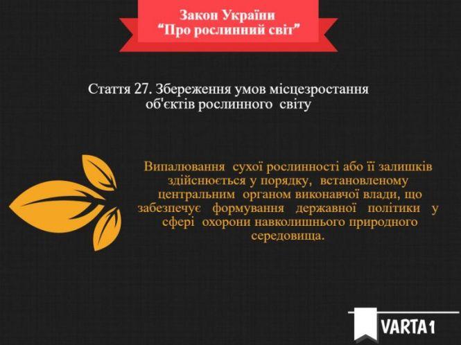 Новини Тернополя - фото з За добу тричі викликали пожежників: горіли поля і очерети поблизу Тернополя За добу тричі викликали пожежників: горіли поля і очерети поблизу Тернополя, фото №3 на сайті 20minut.ua