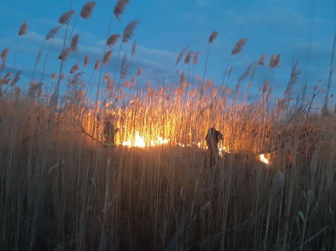 Новини Тернополя - фото з За добу тричі викликали пожежників: горіли поля і очерети поблизу Тернополя За добу тричі викликали пожежників: горіли поля і очерети поблизу Тернополя, фото №1 на сайті 20minut.ua