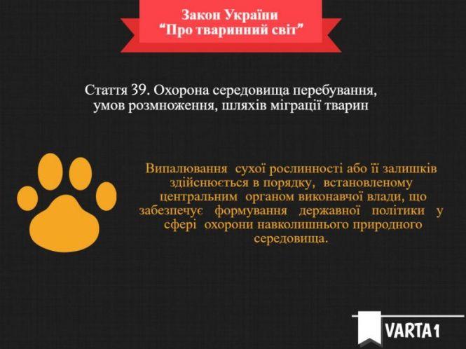 Новини Тернополя - фото з За добу тричі викликали пожежників: горіли поля і очерети поблизу Тернополя За добу тричі викликали пожежників: горіли поля і очерети поблизу Тернополя, фото №2 на сайті 20minut.ua
