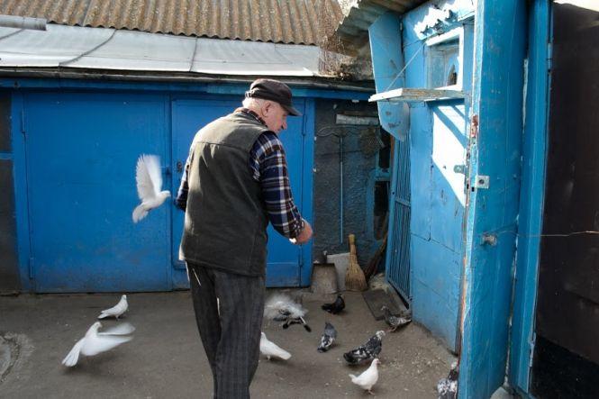 “Лю-лю-лю” замість тисячі слів: хмельничанин 70 років живе з голубами, фото №6 на сайті vsim.ua