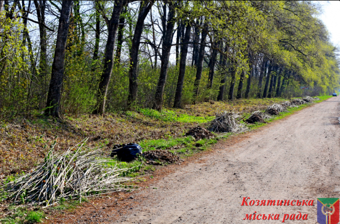 Новини Козятина - фото з Чиновники Козятина наводили порядок на Білоцерківській трасі Чиновники Козятина наводили порядок на Білоцерківській трасі, фото №2 на сайті 20minut.ua