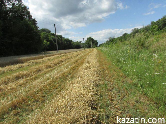 Козятин у фото сьогодні, 7 серпня, фото №5 на сайті 20minut.ua