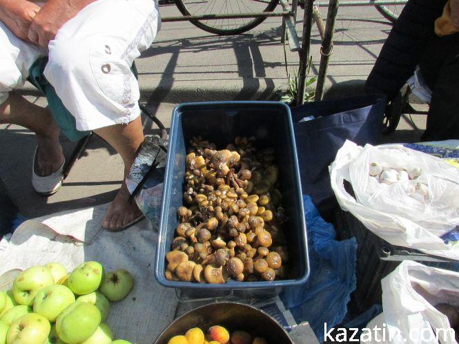 Козятин у фото сьогодні, 7 серпня, фото №8 на сайті 20minut.ua