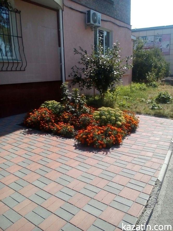 Козятин у фото сьогодні, 7 серпня, фото №3 на сайті 20minut.ua