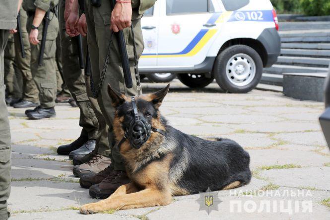 Новини Вінниці - фото з Військовий нагляд. Чому гвардійців послали на вулиці та на які дії вповноважили? Військовий нагляд. Чому гвардійців послали на вулиці та на які дії вповноважили?, фото №2 на сайті 20minut.ua