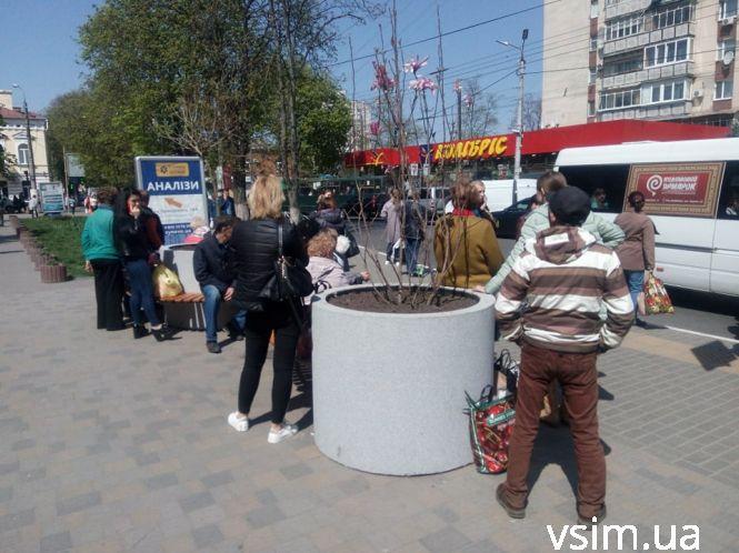 Новини Хмельницького - фото з Біля Поліклініки №1 посадили магнолію та клени Біля Поліклініки №1 посадили магнолію та клени, фото №1 на сайті vsim.ua