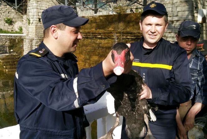 Новини Кам'янця-Подільського - фото з Події у Кам’янці-Подільському, які ви могли пропустити: ТОП - 5 новин Події у Кам’янці-Подільському, які ви могли пропустити: ТОП - 5 новин, фото №4 на сайті 20minut.ua