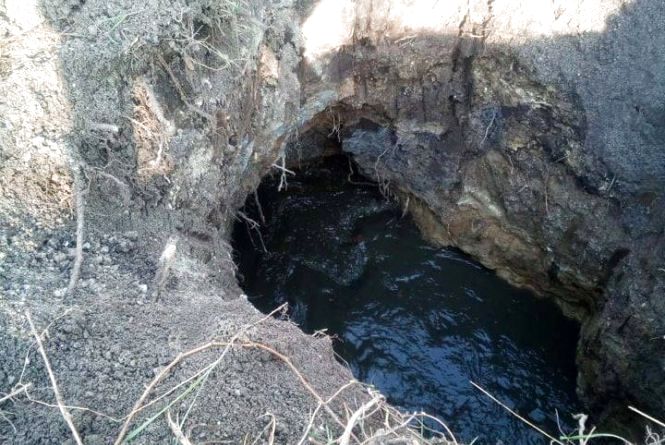 Новини Кам'янця-Подільського - фото з Події у Кам’янці-Подільському, які ви могли пропустити: ТОП - 5 новин Події у Кам’янці-Подільському, які ви могли пропустити: ТОП - 5 новин, фото №5 на сайті 20minut.ua