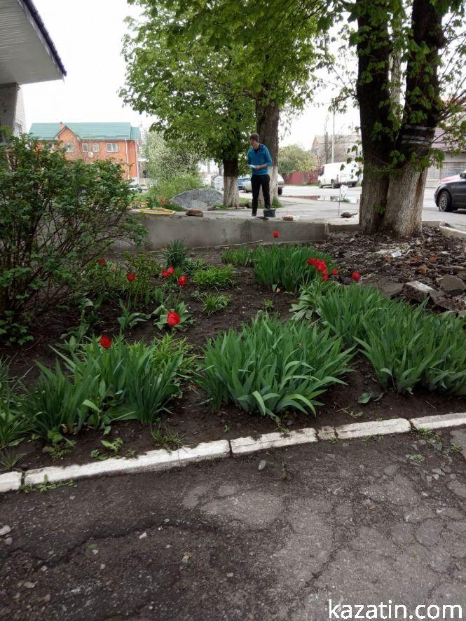 Фото дня: квітучі клумби біля лікарні та ремонт дороги біля вокзалу, фото №3 на сайті 20minut.ua