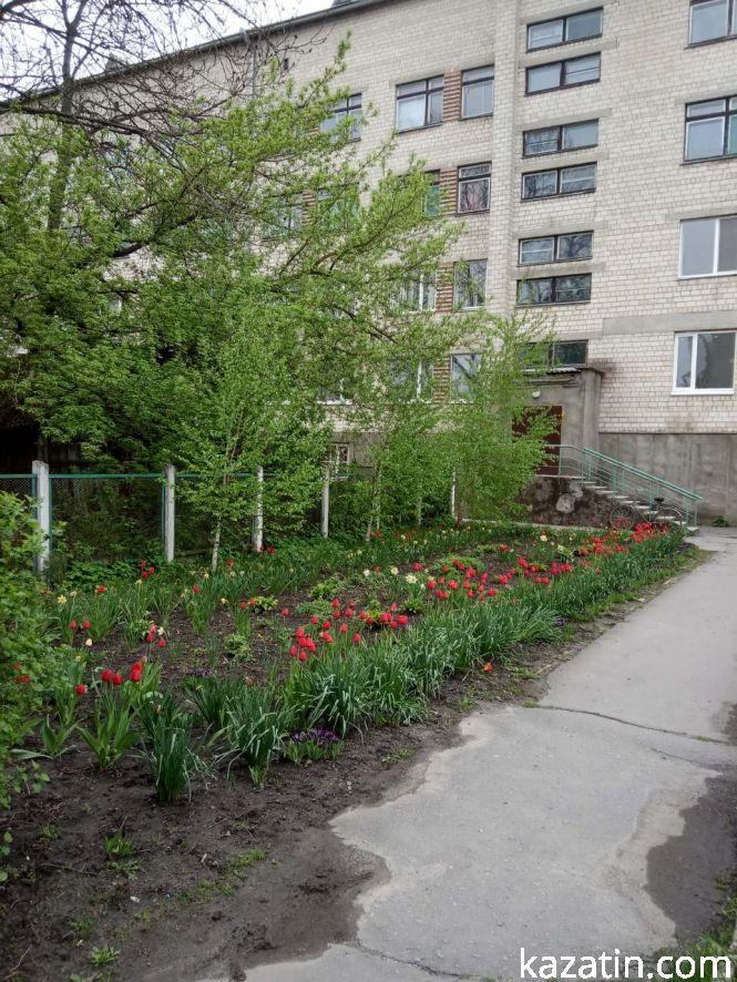 Фото дня: квітучі клумби біля лікарні та ремонт дороги біля вокзалу, фото №7 на сайті 20minut.ua