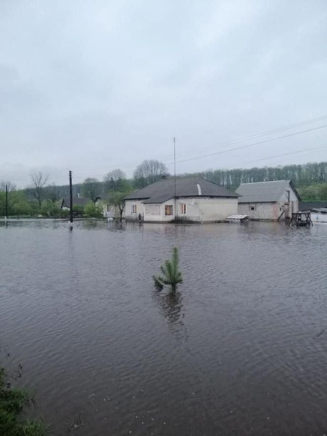 Новини Тернополя - фото з На Тернопільщині підтопило будинки. Із власного помешкання не можуть вийти дорослі та дитина На Тернопільщині підтопило будинки. Із власного помешкання не можуть вийти дорослі та дитина, фото №1 на сайті 20minut.ua