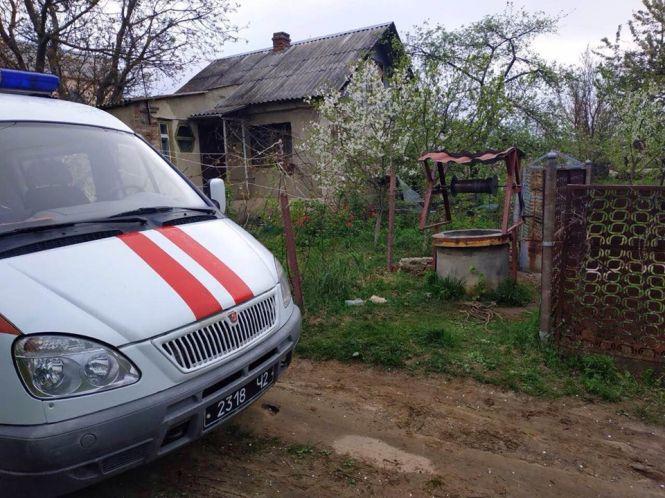 Операція «спасіння вагітної кішки»: у селі Славне рятувальники залізли  у криницю, фото №1 на сайті 20minut.ua