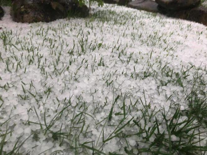 Плавали меблі, змило городи і потопились поросята – на Тернопільщині негода наробила біди, фото №1 на сайті 20minut.ua
