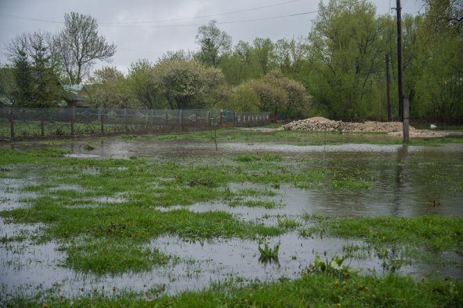 Новини Тернополя - фото з Плавали меблі, змило городи і потопились поросята – на Тернопільщині негода наробила біди