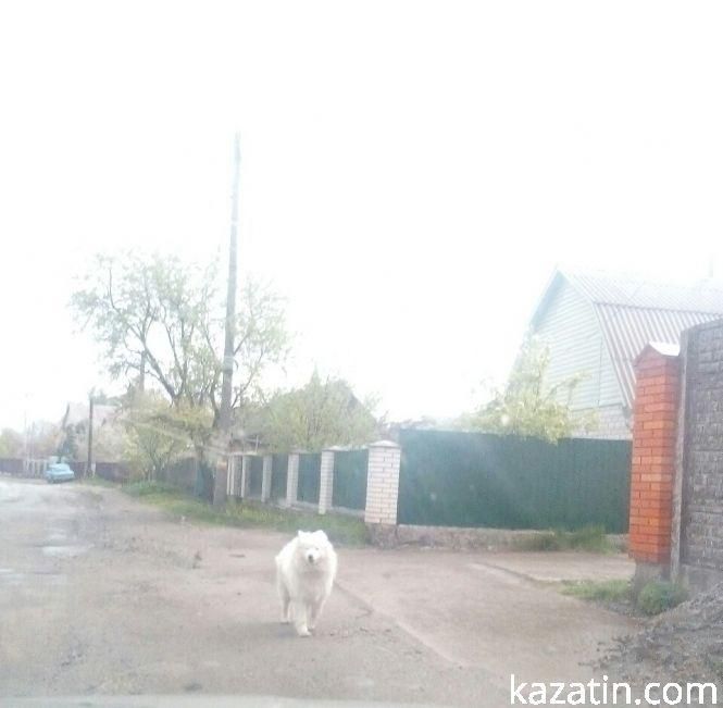 Фото дня: у Козятині надвечір зілляв дощ, фото №6 на сайті 20minut.ua