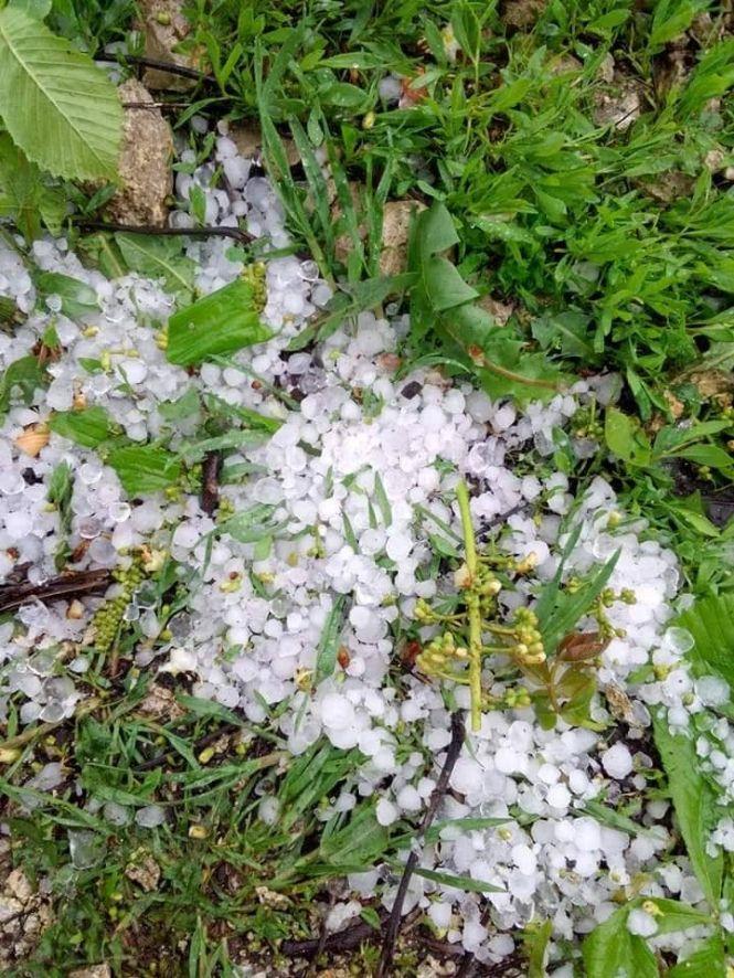 На Тернопільщині знову падає град. Синоптики обіцяють чергову порцію дощів (фото), фото №1 на сайті 20minut.ua