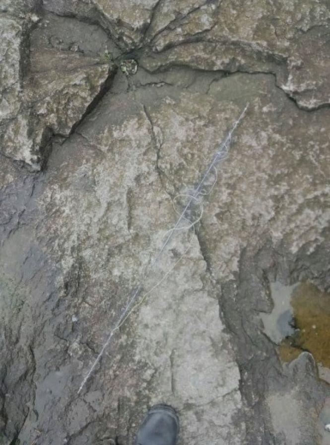 Новини Хмельницького - фото з Риби на 34 тисячі гривень виловили браконьєри на Хмельниччині Риби на 34 тисячі гривень виловили браконьєри на Хмельниччині, фото №3 на сайті vsim.ua