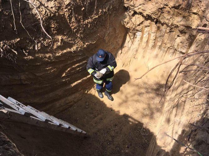 Новини Вінниці - фото з Операція «Порятунок»: в Немирові з ями дістали двох собак та їжака Операція «Порятунок»: в Немирові з ями дістали двох собак та їжака, фото №1 на сайті 20minut.ua