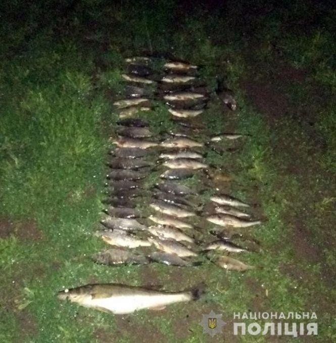 Без риби та зі штрафом. На Дністрі впіймали браконьєра з сітями, фото №1 на сайті vsim.ua