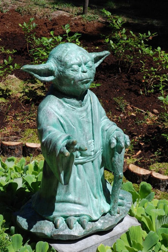 Пам'ятнику Майстру Йоді в Тернополі бути: збирають кошти і вже відомо місце  встановлення, фото №1 на сайті 20minut.ua