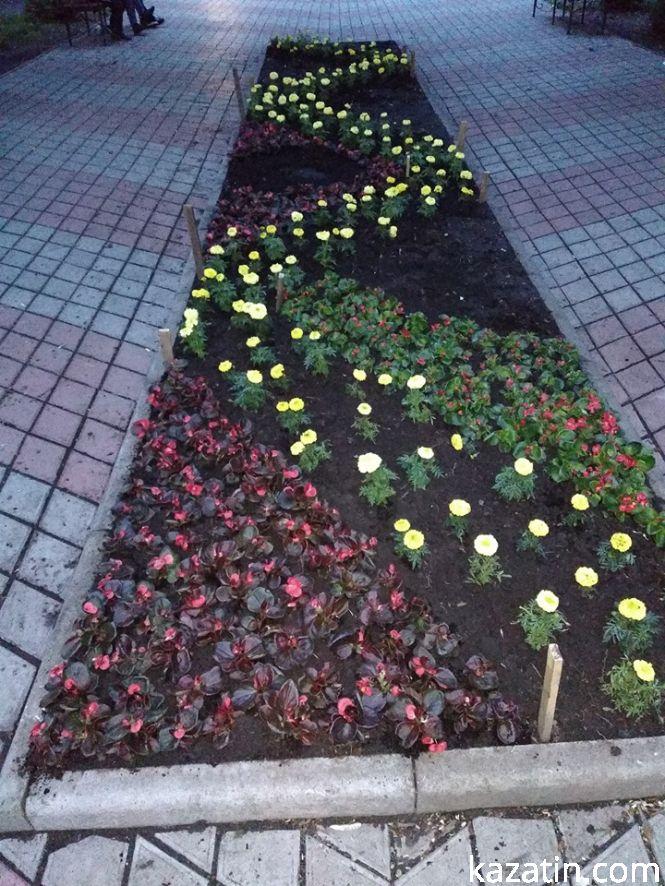 Фото дня: в центральному парку оновили клумби, фото №1 на сайті 20minut.ua