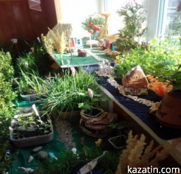 Новини Козятина - фото з Районний конкурс "Город на підвіконні" у закладах дошкільної освіти Районний конкурс "Город на підвіконні" у закладах дошкільної освіти, фото №16 на сайті 20minut.ua