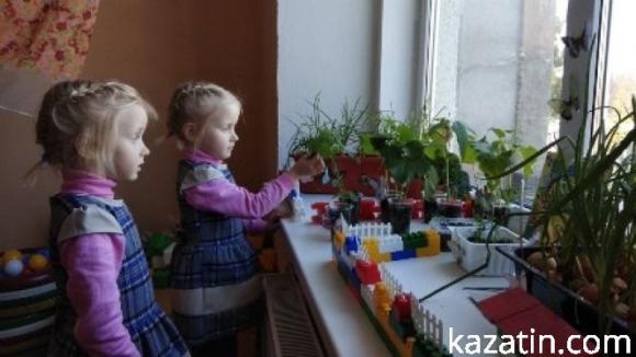 Новини Козятина - фото з Районний конкурс "Город на підвіконні" у закладах дошкільної освіти Районний конкурс "Город на підвіконні" у закладах дошкільної освіти, фото №12 на сайті 20minut.ua