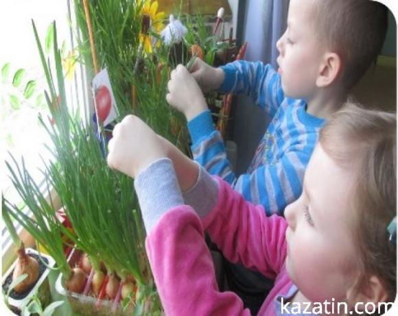 Новини Козятина - фото з Районний конкурс "Город на підвіконні" у закладах дошкільної освіти Районний конкурс "Город на підвіконні" у закладах дошкільної освіти, фото №6 на сайті 20minut.ua