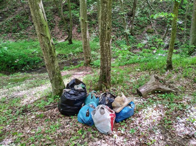 Святкове прибирання - волонтери Кам'янця знову в лісі, фото №4 на сайті 20minut.ua