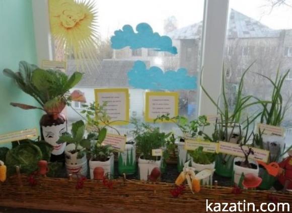 Новини Козятина - фото з Районний конкурс "Город на підвіконні" у закладах дошкільної освіти Районний конкурс "Город на підвіконні" у закладах дошкільної освіти, фото №8 на сайті 20minut.ua