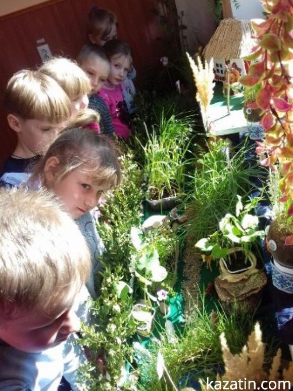 Новини Козятина - фото з Районний конкурс "Город на підвіконні" у закладах дошкільної освіти Районний конкурс "Город на підвіконні" у закладах дошкільної освіти, фото №15 на сайті 20minut.ua