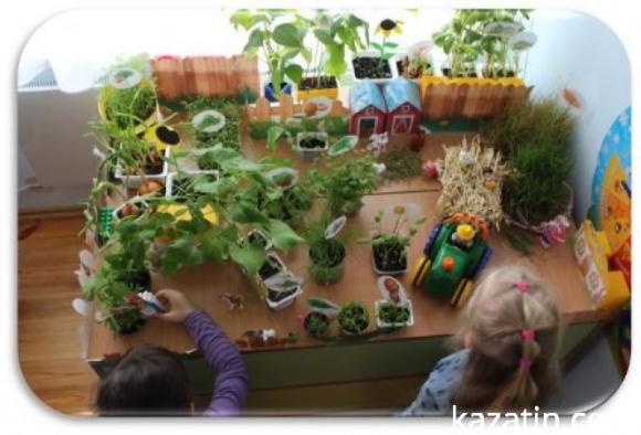 Новини Козятина - фото з Районний конкурс "Город на підвіконні" у закладах дошкільної освіти Районний конкурс "Город на підвіконні" у закладах дошкільної освіти, фото №1 на сайті 20minut.ua