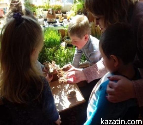 Новини Козятина - фото з Районний конкурс "Город на підвіконні" у закладах дошкільної освіти Районний конкурс "Город на підвіконні" у закладах дошкільної освіти, фото №14 на сайті 20minut.ua