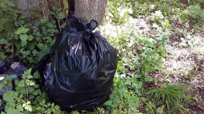 Святкове прибирання - волонтери Кам'янця знову в лісі, фото №6 на сайті 20minut.ua