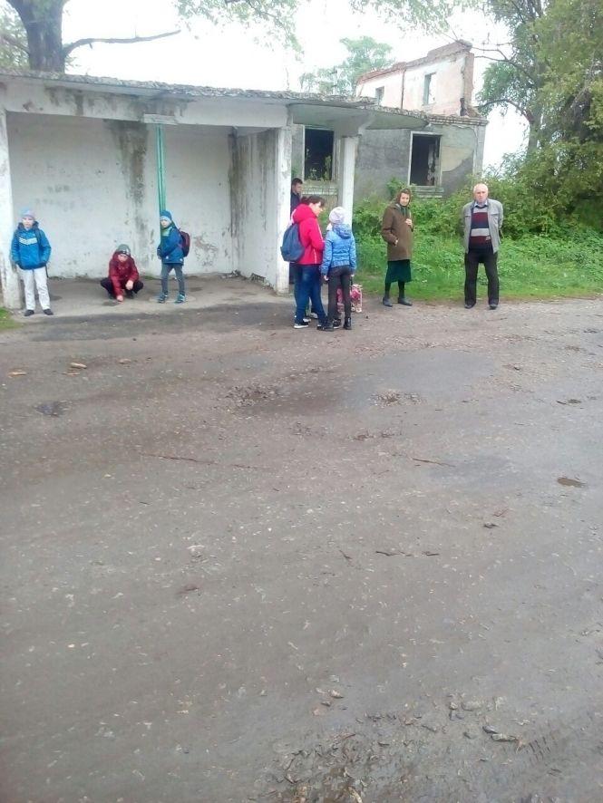 Новини Козятина - фото з Машини гублять колеса. Чому не ремонтують дорогу на Центральній у селі Козятин Машини гублять колеса. Чому не ремонтують дорогу на Центральній у селі Козятин, фото №8 на сайті 20minut.ua