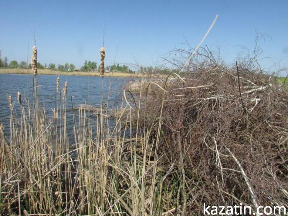 Новини Козятина - фото з Вернигородські рибалки дійшли до місцевої влади. Чи вирішили конфлікт? Вернигородські рибалки дійшли до місцевої влади. Чи вирішили конфлікт?, фото №1 на сайті 20minut.ua