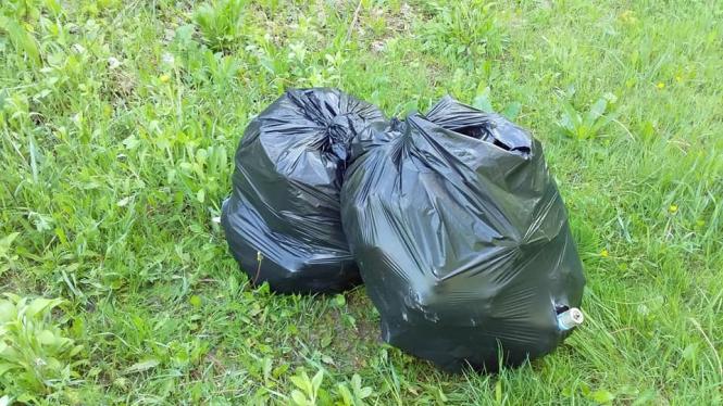 Святкове прибирання - волонтери Кам'янця знову в лісі, фото №5 на сайті 20minut.ua