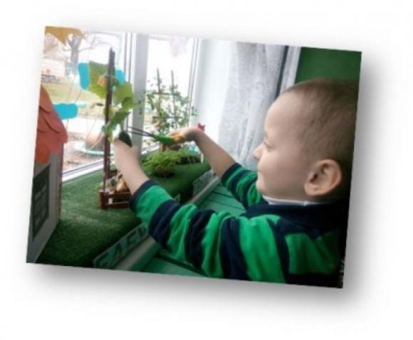 Новини Козятина - фото з Районний конкурс "Город на підвіконні" у закладах дошкільної освіти Районний конкурс "Город на підвіконні" у закладах дошкільної освіти, фото №10 на сайті 20minut.ua