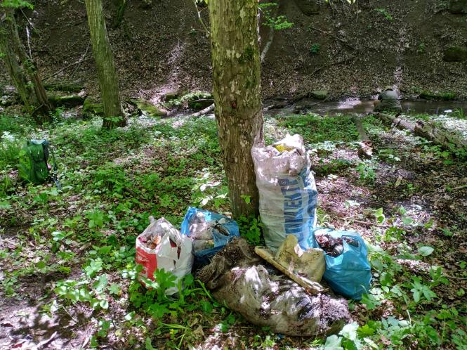 Святкове прибирання - волонтери Кам'янця знову в лісі, фото №7 на сайті 20minut.ua